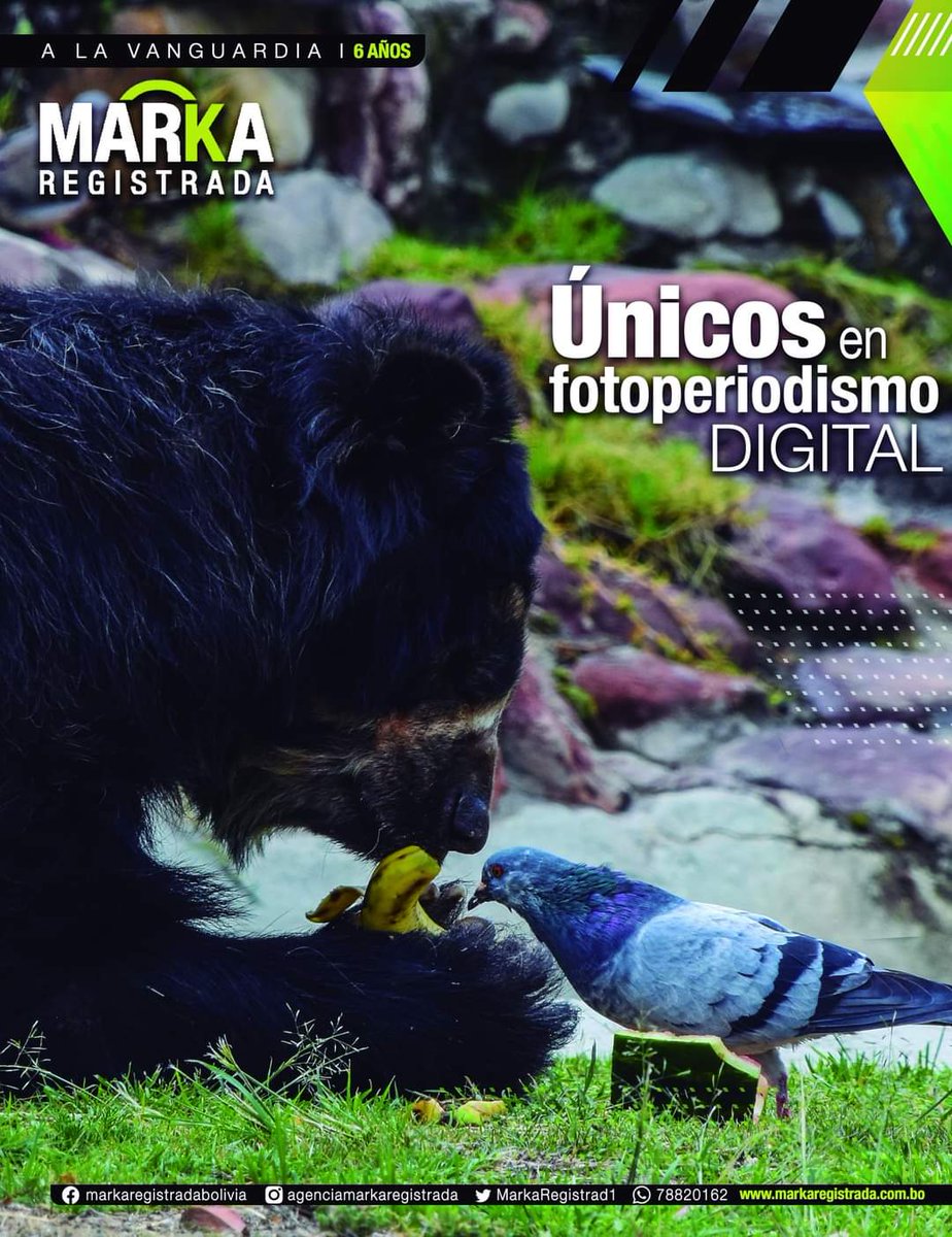 Agencia Marka Registrada (@markaregistrad1) on Twitter photo 