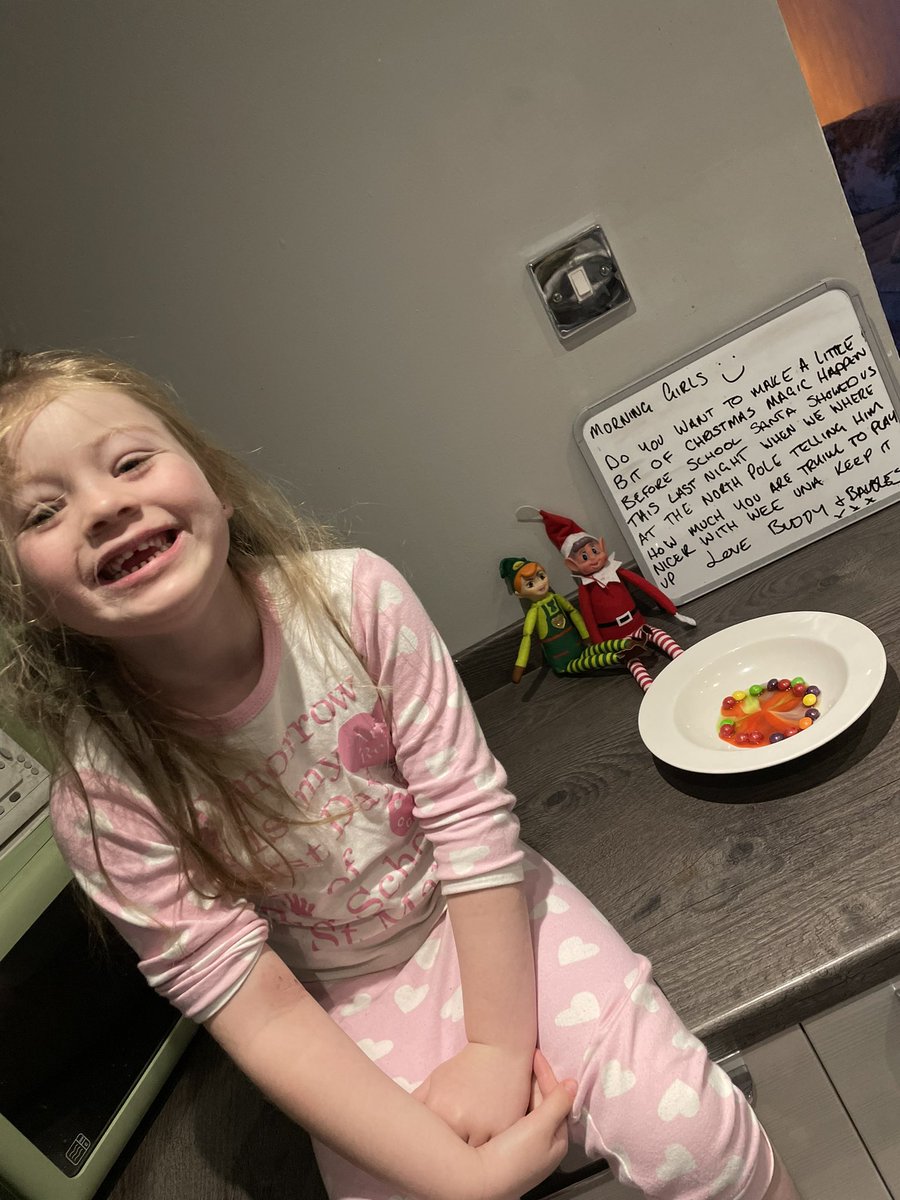 Demileax3's tweet photo. @NicolaJaneRega1 Ari asked me to show you what her cheeky elves were up to during the night. She was very impressed with their magic 🌈 https://t.co/AkOtYnHrY1