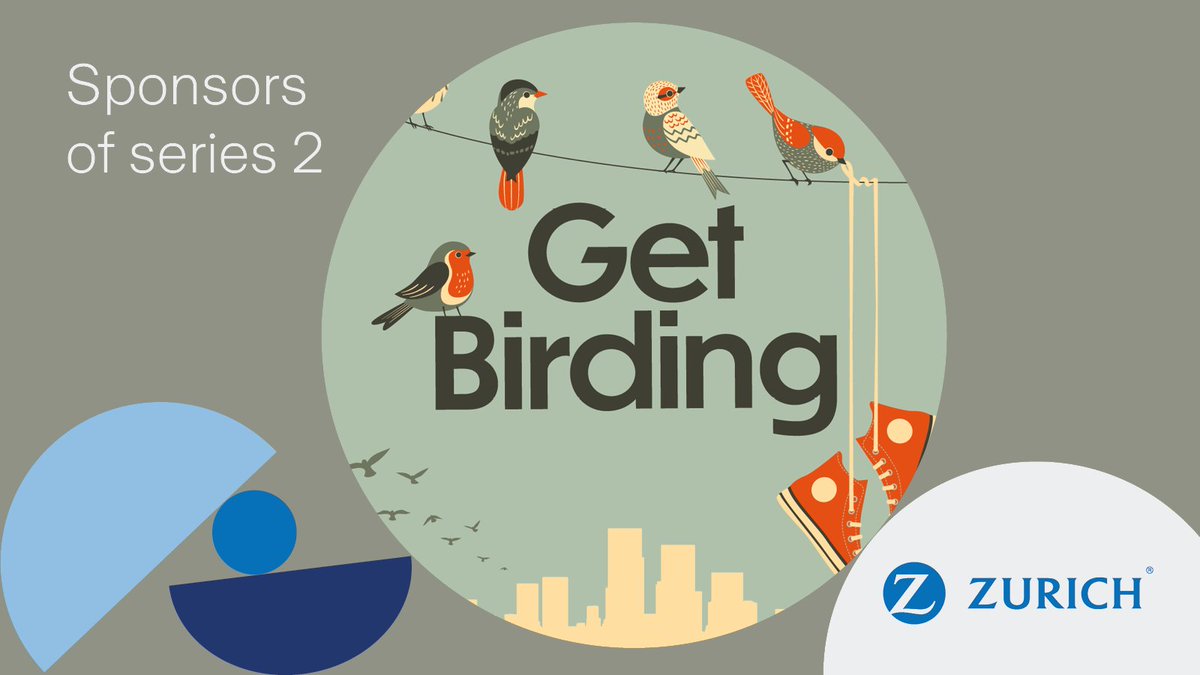 Episode 5 of @getbirdingpod is available to listen now: zurins.uk/3Dx3Rv6

@HamzaYassin3 discusses with @AjayTegala, Duncan Halpin (@dkh4) and Martin Noble (@SeaPowerBand) the varied bird life they each experience, living near the water.

#GetBirding