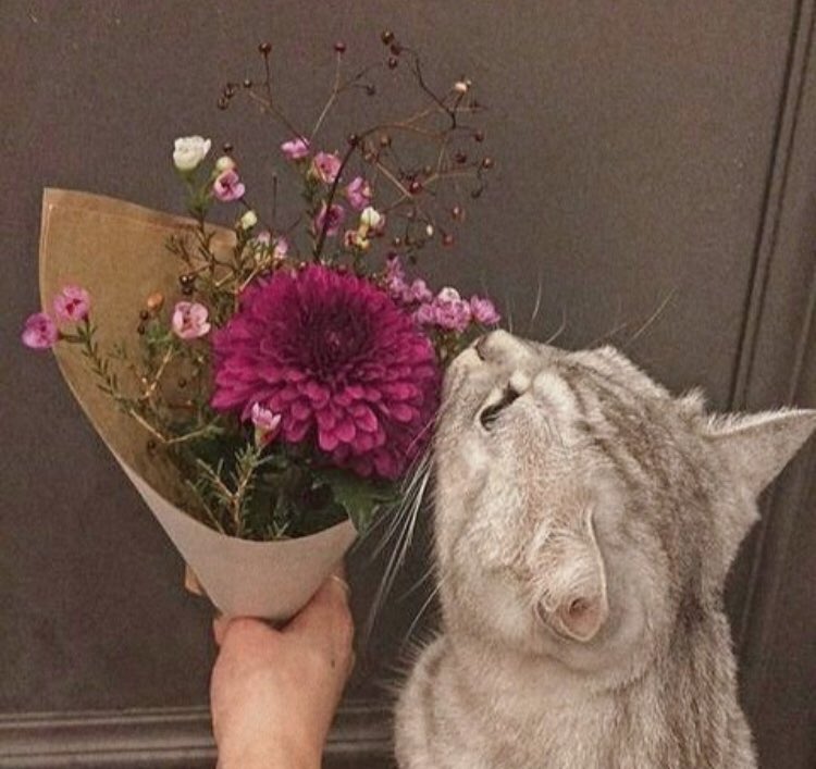 piinkibun's tweet photo. https://t.co/Rs7XpnTV94