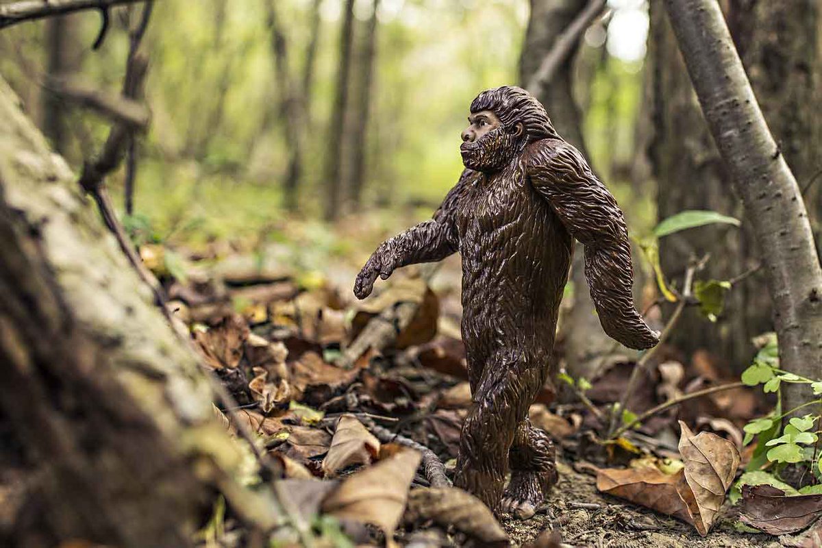 How Neanderthal DNA Impacts Modern Humans

To find out more about your potential link to Neanderthal ancestors, Genomelink offers information on several reports that use your raw DNA.

#neanderthalancestors
#genomelinkuserawdata
#neanderthaldna

blog.genomelink.io/posts/how-nean…