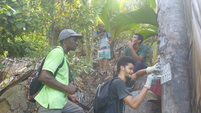 SIF_Seychelles's tweet photo. Our October #SIFNewsletter is out - https://t.co/yr8Gvor44X In this edition we remember one of #Seychelles’ environmental champions, Katy Beaver, announce a new date for our #AldabraResearchStation50 anniversary symposium, welcome new team members &amp; .. 1/2 https://t.co/c2jW5ysKM4