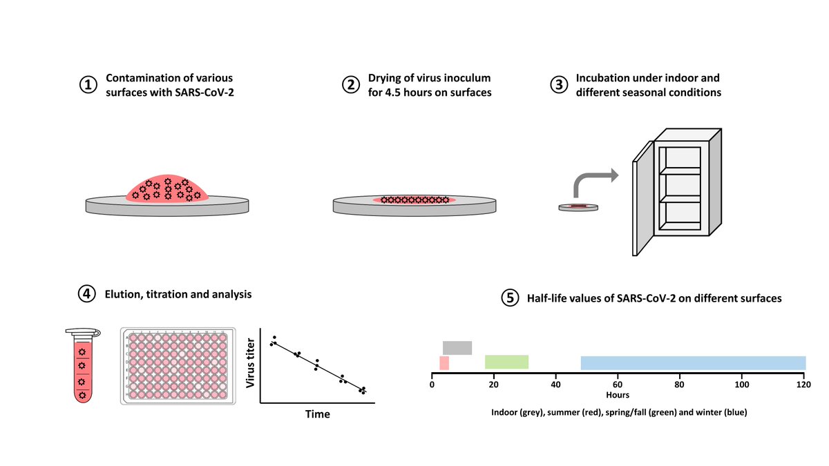 Pathogens_MDPI's tweet photo. #pathogens
Article: "Environmental Stability of #SARS-CoV-2 on Different Types of #Surfaces under Indoor and Seasonal #ClimateConditions", by Dr. Juergen A. Richt @KSUCVM et al., is published.
👉https://t.co/B24tp7UiNR
#SARS-CoV-2
#environmental stability
#fomite
#virus decay https://t.co/zxpLsDKNiI