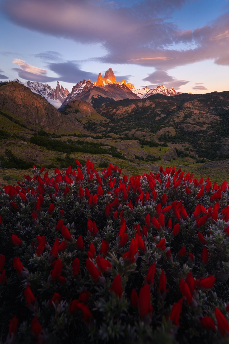 MarcoGrassi_'s tweet photo. Gm! ☀️ the sun is shining, the mountains are visible and I’m feeling better. 

Oh and here, finally, a new image from my current trip in Patagonia.

#NFTphotography #patagonia https://t.co/8rTNmvrBpR