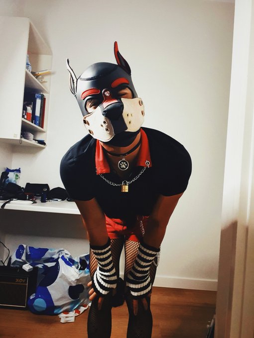Hewwo? ??? https://t.co/x2x3oEjw6o