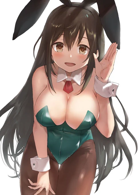 筑摩バニー 