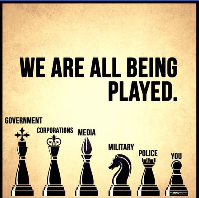 Excel Chess Academy tweet media