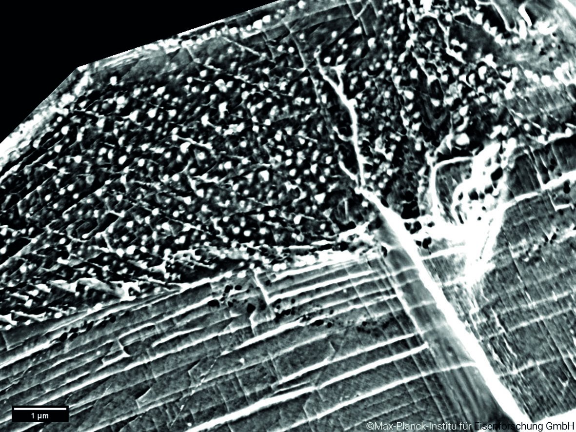 MPISusMat's tweet image. December image: The "snowflakes on the tree"❄️🌲 are grain boundary κ-carbides as they appear on the intergranular fracture surface of a #hydrogen charged high Mn #lightweightsteel tensile sample. /lf
Image from M. Elkot