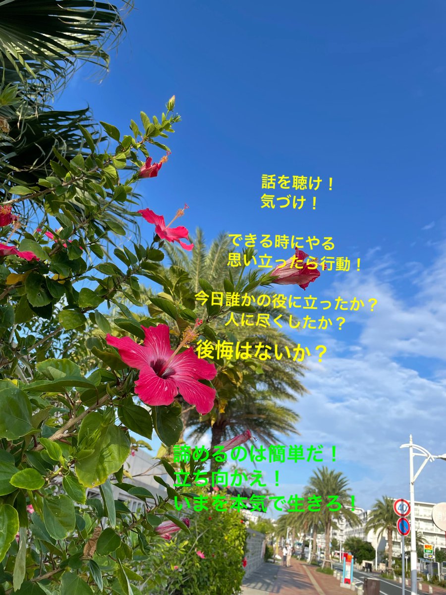 y20926's tweet photo. 思うがままに生きて、たくさん経験して、たくさん失敗したい。そして強くなる。27歳。冬。 https://t.co/hGdENAujqG
