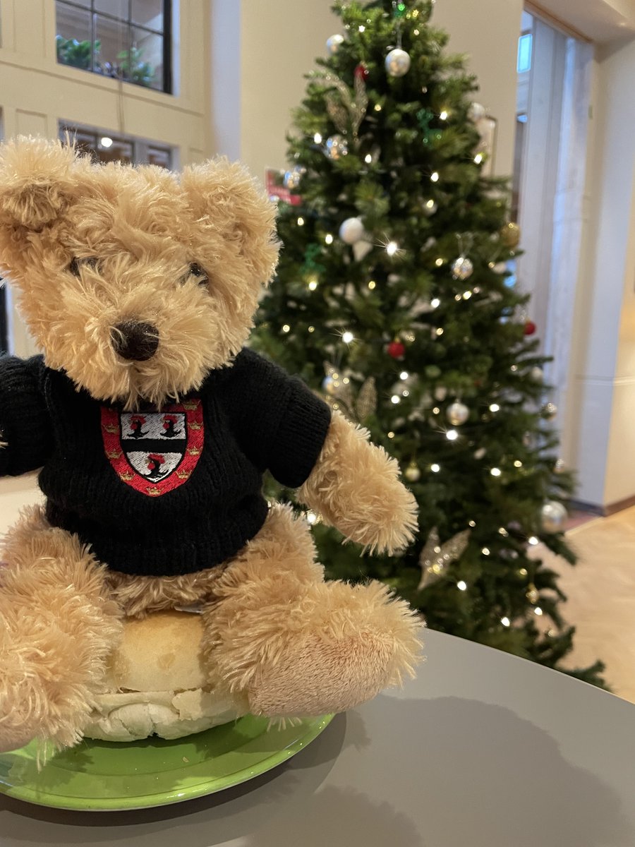 JesusCollegeCam's tweet photo. You've heard of Elf on the Shelf, now get ready for...
#WhereIsJC https://t.co/prpiLjOtnc