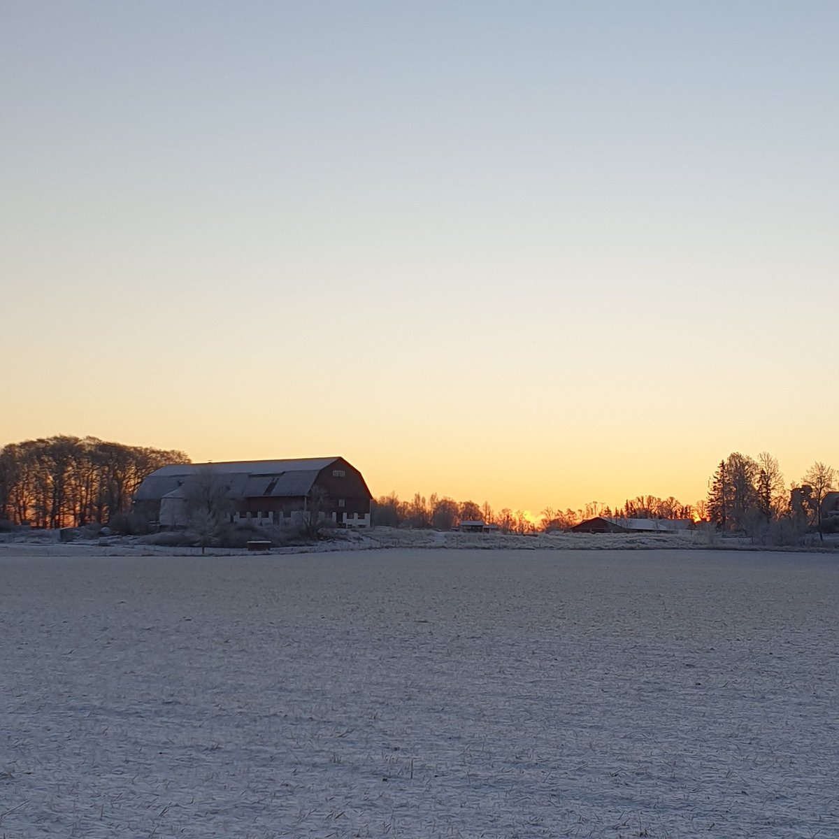 Vi visionerar om ett framtida kolinlagrande matsystem. Tack pilotgårdar, rådgivare och partners för två inspirerande dagar med Svensk Kolinlagring - kolinlagring.se - på Öråkers gård.