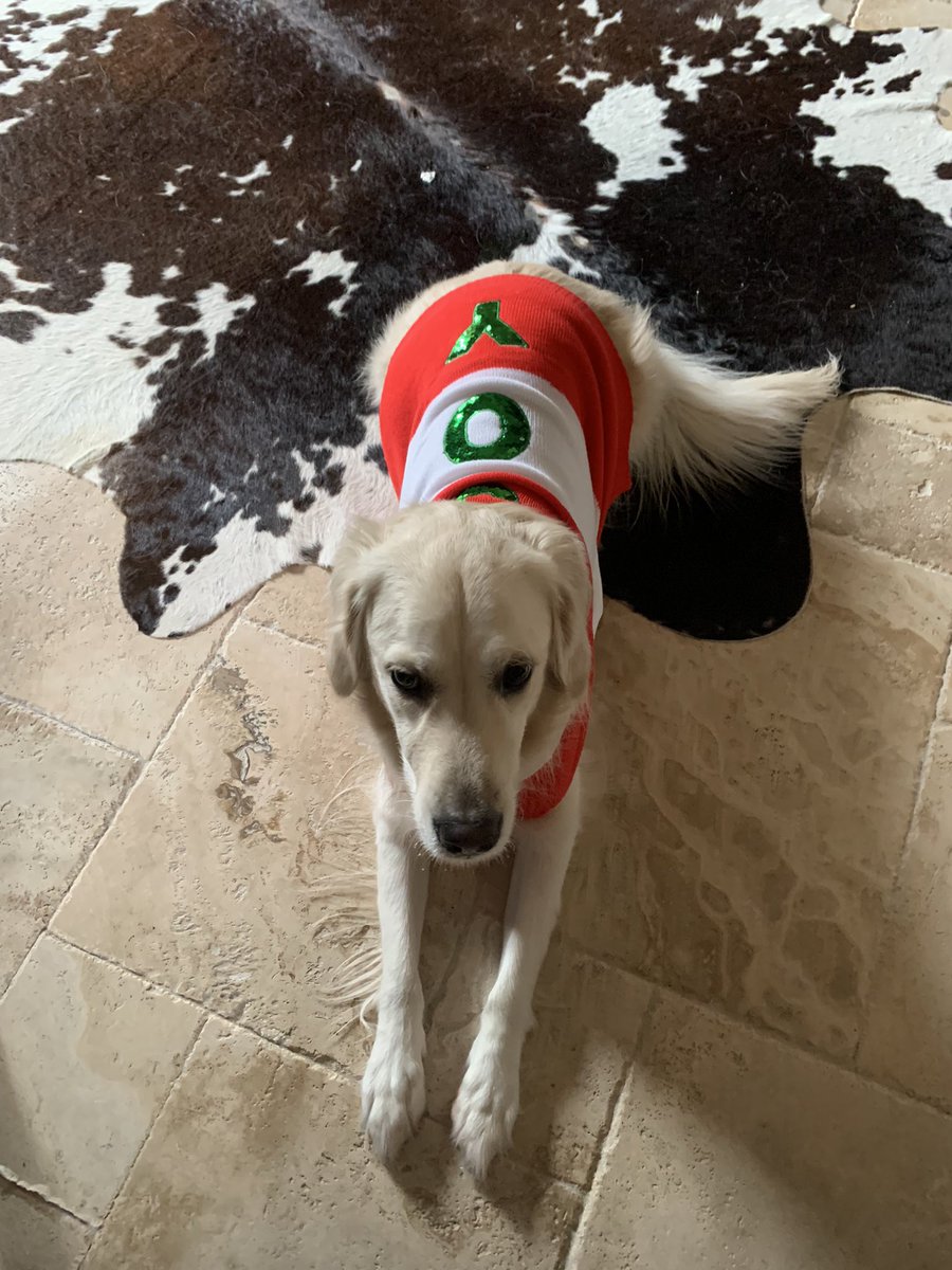 mrspratt2nd's tweet photo. Tugg wanted to show off her Christmas sweater. @techcoachelrod, she wants to know if she counts and can participate to. 😂❤️ #twitterbattle21 #teamelrod #prattspals #creechpride #galrod https://t.co/2VwH17fyvS
