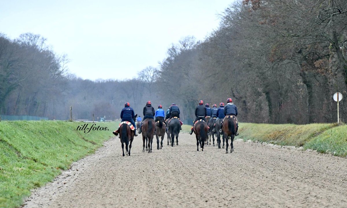 Maisons-Laffitte tweet media
