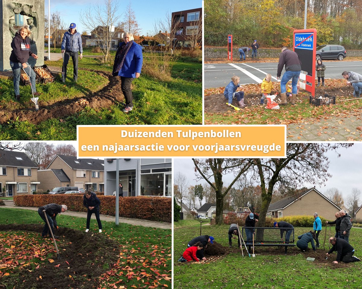 Eind november zijn op meerdere plekken door buurtbewoners en Rotary duizenden tulpenbollen geplant. Een najaarsactie die zorgt voor voorjaarsvreugde. Tulpen bieden in het voorjaar direct kleur, maar ook geur én leven in de openbare ruimte. Lees meer via 👉 tinyurl.com/8ds7cbby