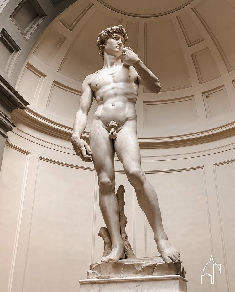 florenciatours1's tweet photo. David de Miguel Ángel.

La escultura representa al David bíblico en el momento previo a enfrentarse con Goliat.

1501-1504 https://t.co/eaD23IWp6b