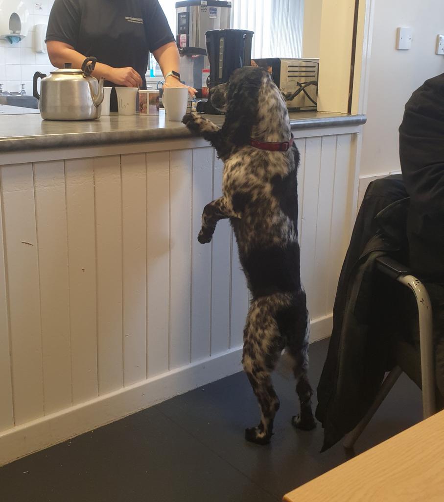 Another job assisting <a href="/nottsfire/">Nottinghamshire Fire and Rescue Service</a> this morning. Thanks to worksop blue watch for a warming brew afterwards