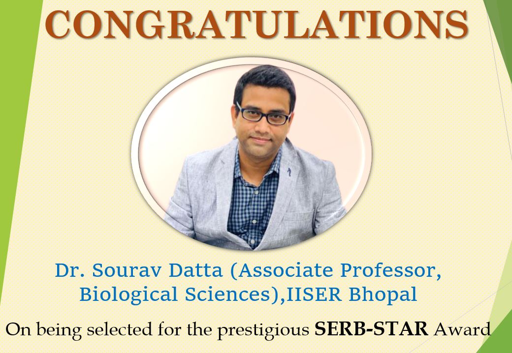 IISER Bhopal (@iiserbhopal) on Twitter photo Many Congratulations to Dr. Sourav Datta (Associate Professor, Biological Sciences) on being selected for the prestigious SERB-STAR Award. Wishing him many more such accolades in the future
<a href="/EduMinOfIndia/">Ministry of Education</a> <a href="/IndiaDST/">DSTIndia</a> <a href="/serbonline/">SERB</a> <a href="/Sandeep_1966/">Sandeep Verma (स्वर)</a> <a href="/UmapathyIndia/">Prof Siva Umapathy</a> Many Congratulations to Dr. Sourav Datta (Associate Professor, Biological Sciences) on being selected for the prestigious SERB-STAR Award. Wishing him many more such accolades in the future
<a href="/EduMinOfIndia/">Ministry of Education</a> <a href="/IndiaDST/">DSTIndia</a> <a href="/serbonline/">SERB</a> <a href="/Sandeep_1966/">Sandeep Verma (स्वर)</a> <a href="/UmapathyIndia/">Prof Siva Umapathy</a>