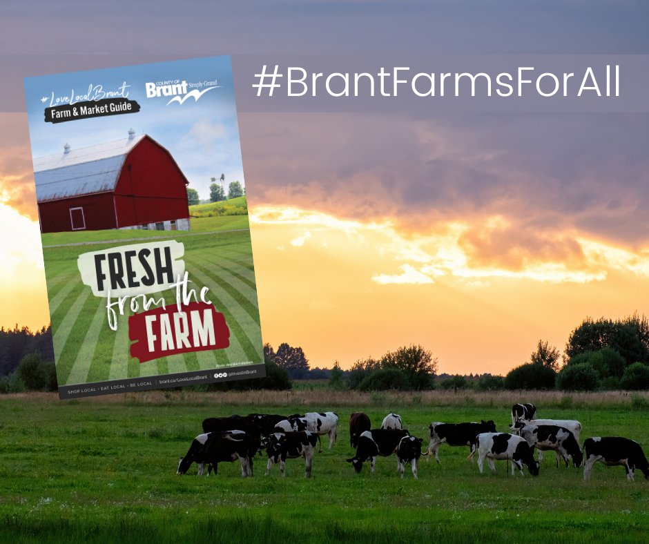 InvestinBrant's tweet photo. 🌾Have you checked out this guide?

Check out the County of Brant's guide series at https://t.co/zpQxjRaOOj today! 

#BrantWorks #BrantFarmsForAll https://t.co/HS2Qi23tWQ