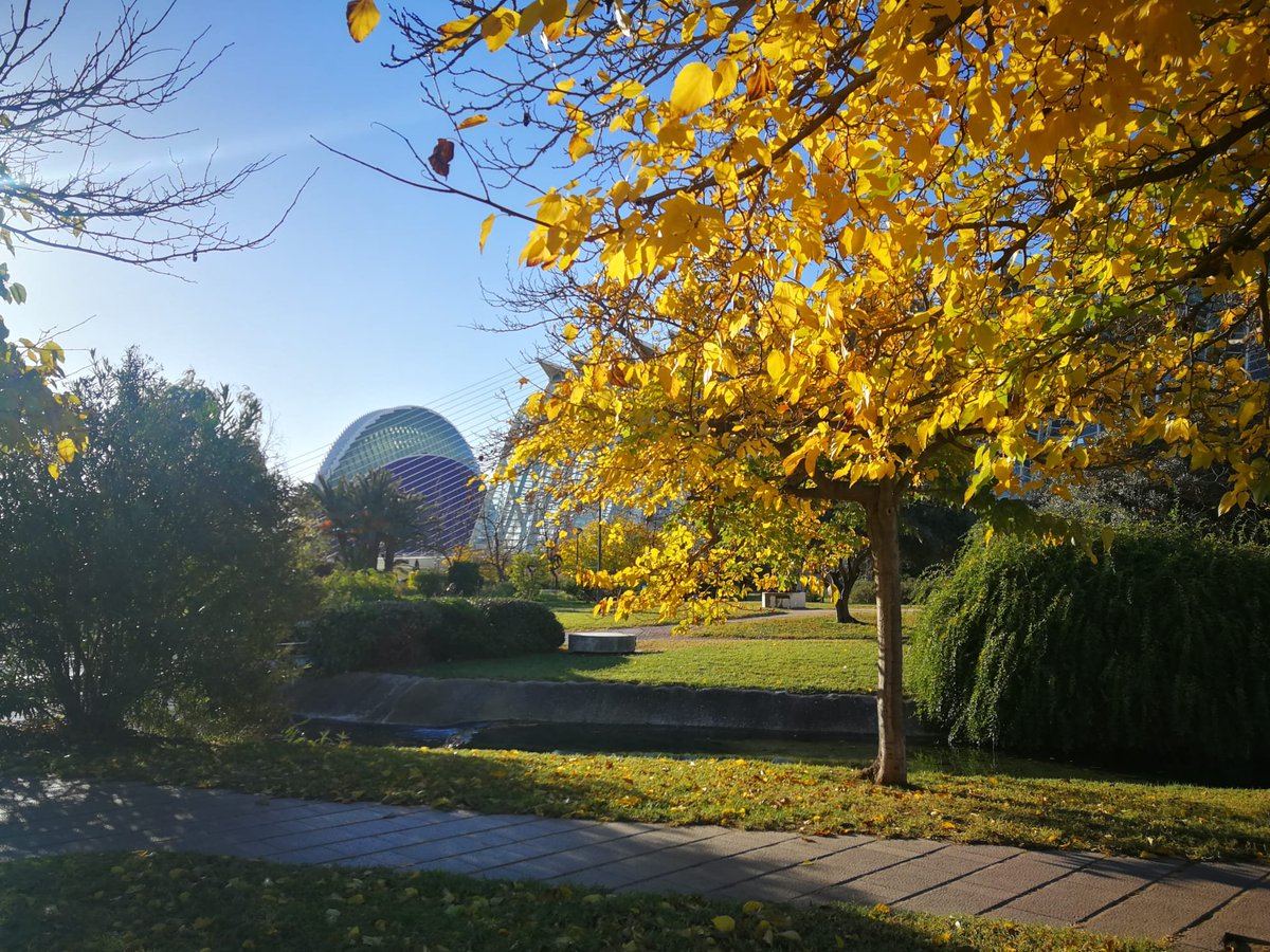 AjuntamentVLC's tweet photo. 🍂 Un dels tresors de #biodiversitat a #València, el jardí del #Túria, el parc urbà🌿més gran d'Espanya, s'ha omplit dels colors de la tardor 🍁.
Agafa 👟o 🚴, bona companyia 🫂  i disfruta passejant🚶‍♂️, fent exercici🏃‍♀️, o recorrent-ho📷, però recorda, cal cuidar-ho! #JardinsVLC🍃 https://t.co/IpXdlKcMqO