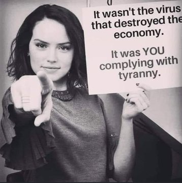 thefoxblog tweet media