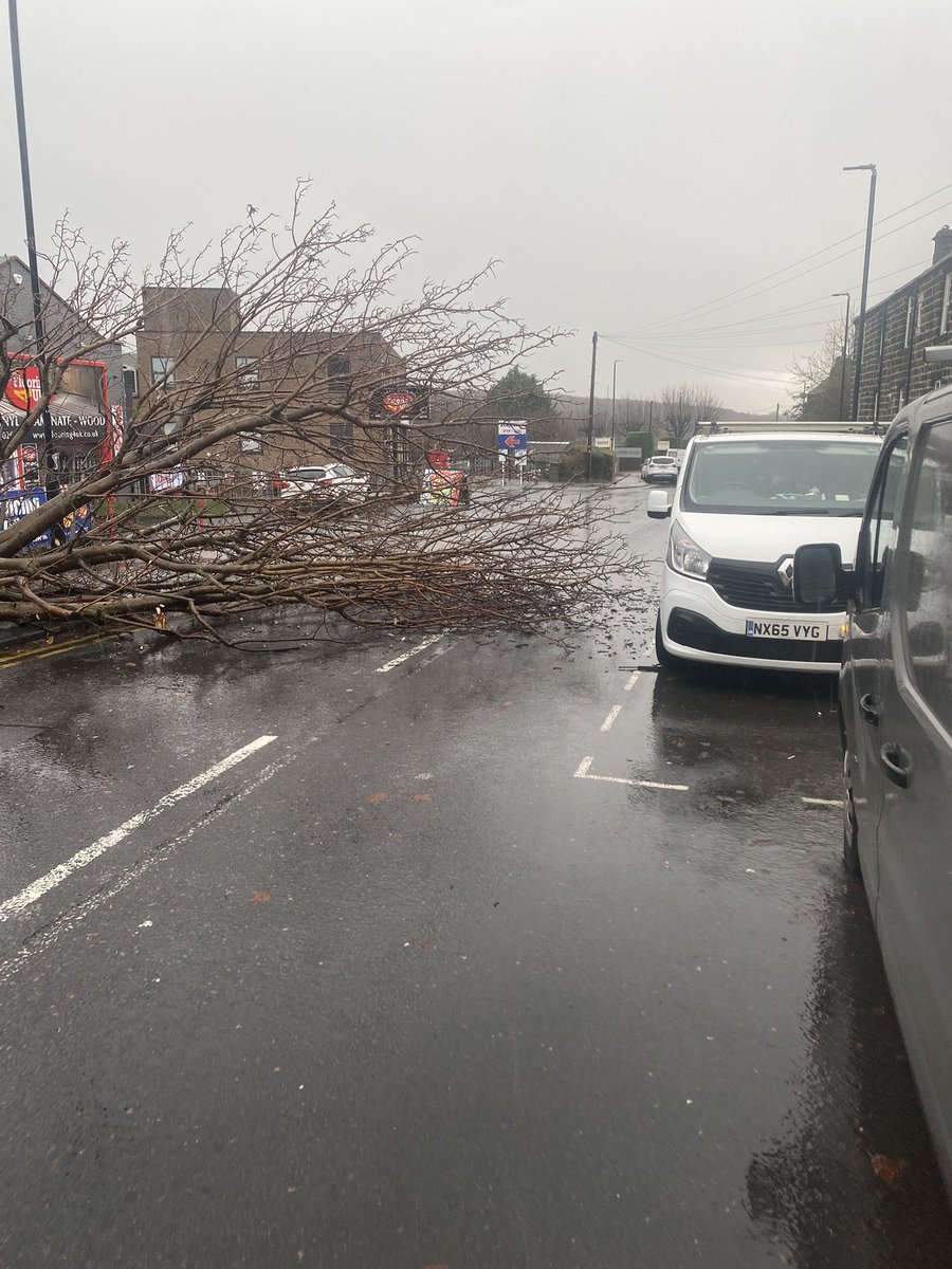 BrownberrieTree's tweet photo. Not all hero’s wear capes….but sometimes carry #chainsaw #stihl #horsforth making the traffic flow again on #listerhill #northleeds #brownberrietreeservices thanks to @Protyre horsforth for helping out @leedscitycounc1 @StuartAndrew @CllrJTaylor https://t.co/K0fxDfxtjd