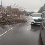 Photo by Brownberrie Tree Services (@BrownberrieTree)