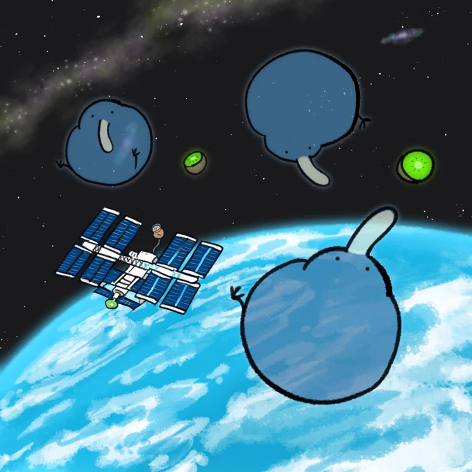 宇宙キーウィ 