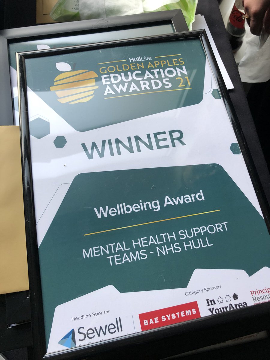 Congrats to the winner of our Wellbeing Award … Hull Mental Health Support Teams @NHSHullCCG @HullCityCouncil #HLgoldenApples