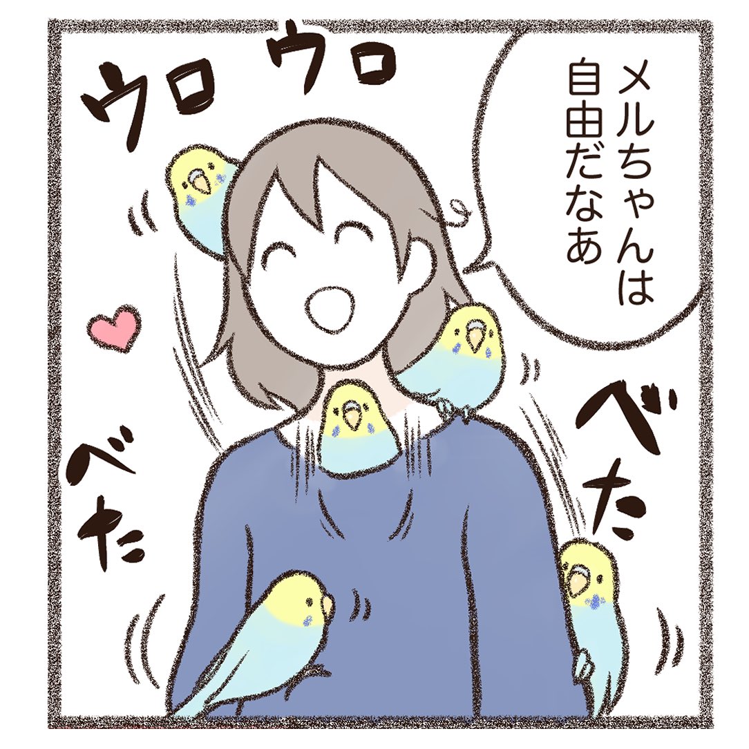 インスタにインコちゃんマンガをアップしました⤴️

ヒナの頃はあんなにベタベタもふもふ
触らせてくれたのに、、、🦜😌💦

続きはこちらから読めます💁‍♀️✨
https://t.co/vBoDLU7sMH 