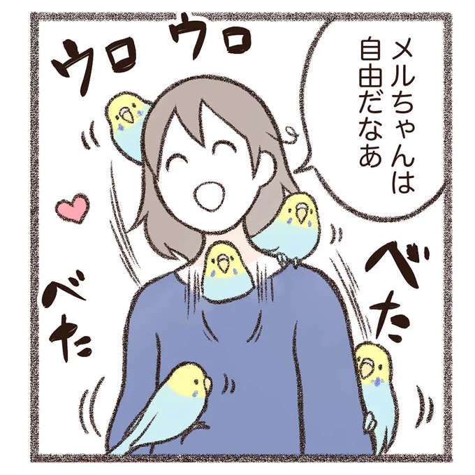 インスタにインコちゃんマンガをアップしました⤴️

ヒナの頃はあんなにベタベタもふもふ
触らせてくれたのに、、、🦜😌💦

続きはこちらから読めます💁‍♀️✨
https://t.co/vBoDLU7sMH 
