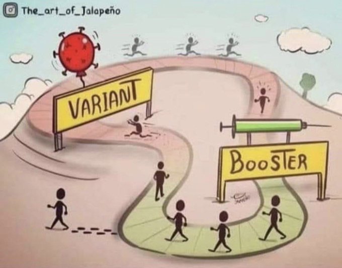 thefoxblog tweet media