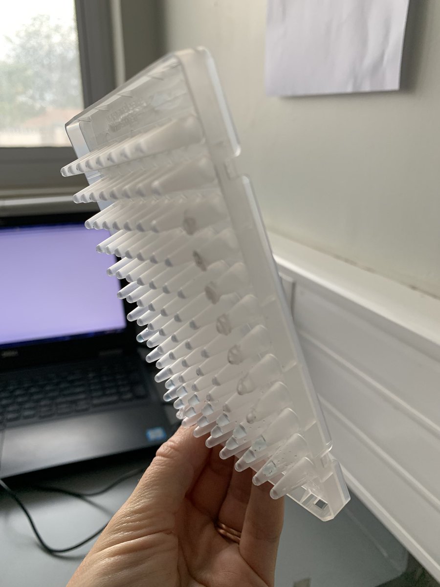 catanscombe's tweet photo. Time critical PCR,  and this happens https://t.co/EhU6oj0kiC