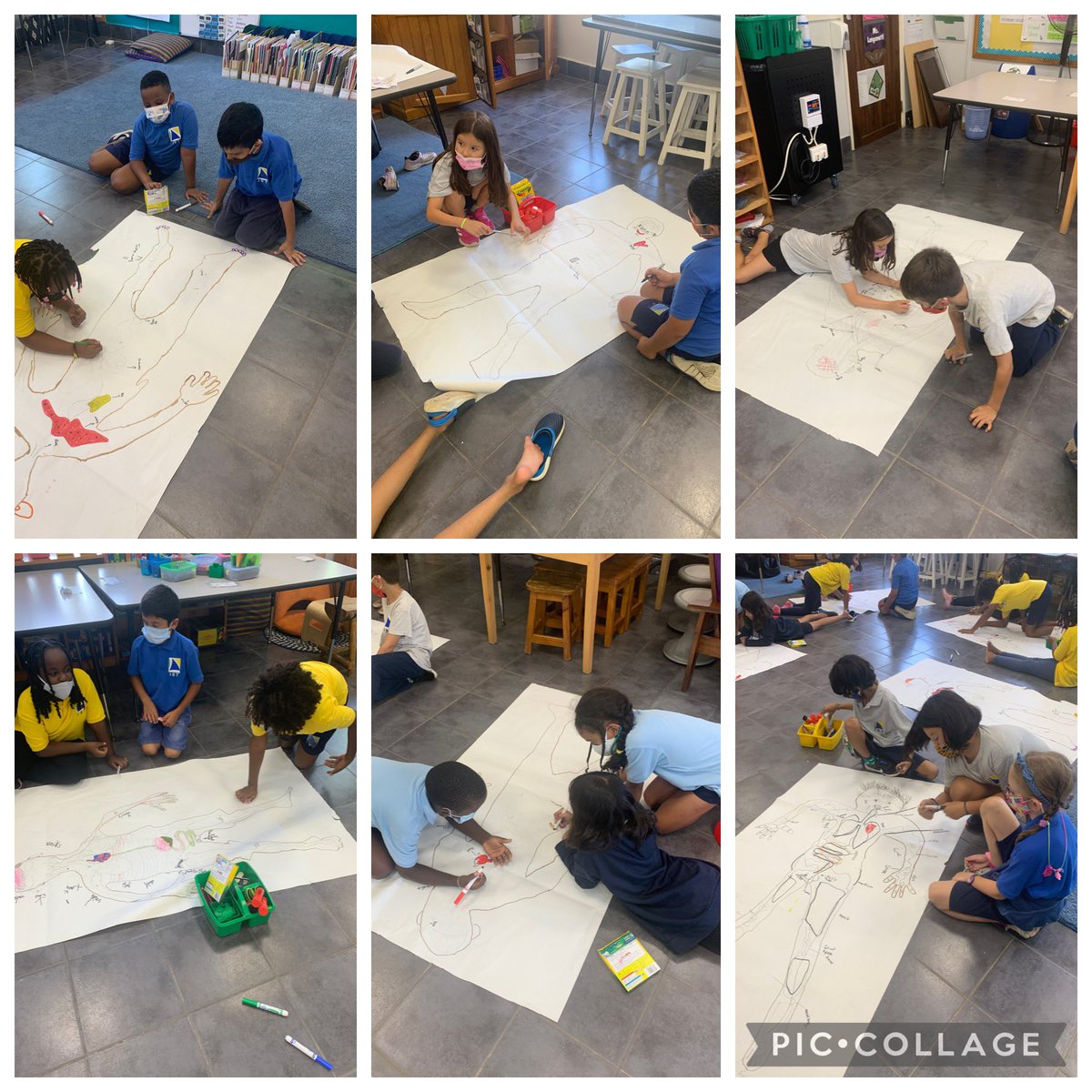 teach2learn13's tweet photo. Tuning into to what 3DL @istafrica knows about the human body. Ss worked in small groups to trace a body and include all the parts/systems they think are inside. Great way to access their prior knowledge. Looking forward to the inquiry that is to come! #ibpyp #inquirycycle https://t.co/Q70TqhGNzu