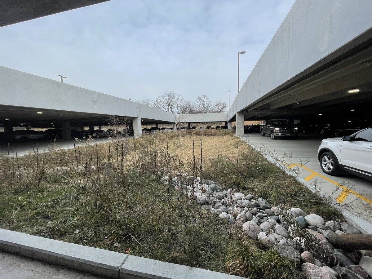 treesrtheanswr's tweet photo. Love checking out some green infrastructure our Chicago office installed last year. #greeninfrastructure #naturalbasedsolution https://t.co/XGnzqQhqTi