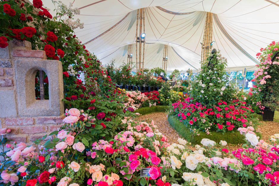 blue diamond garden centres gardencentre twitter blue diamond garden centres gardencentre twitter