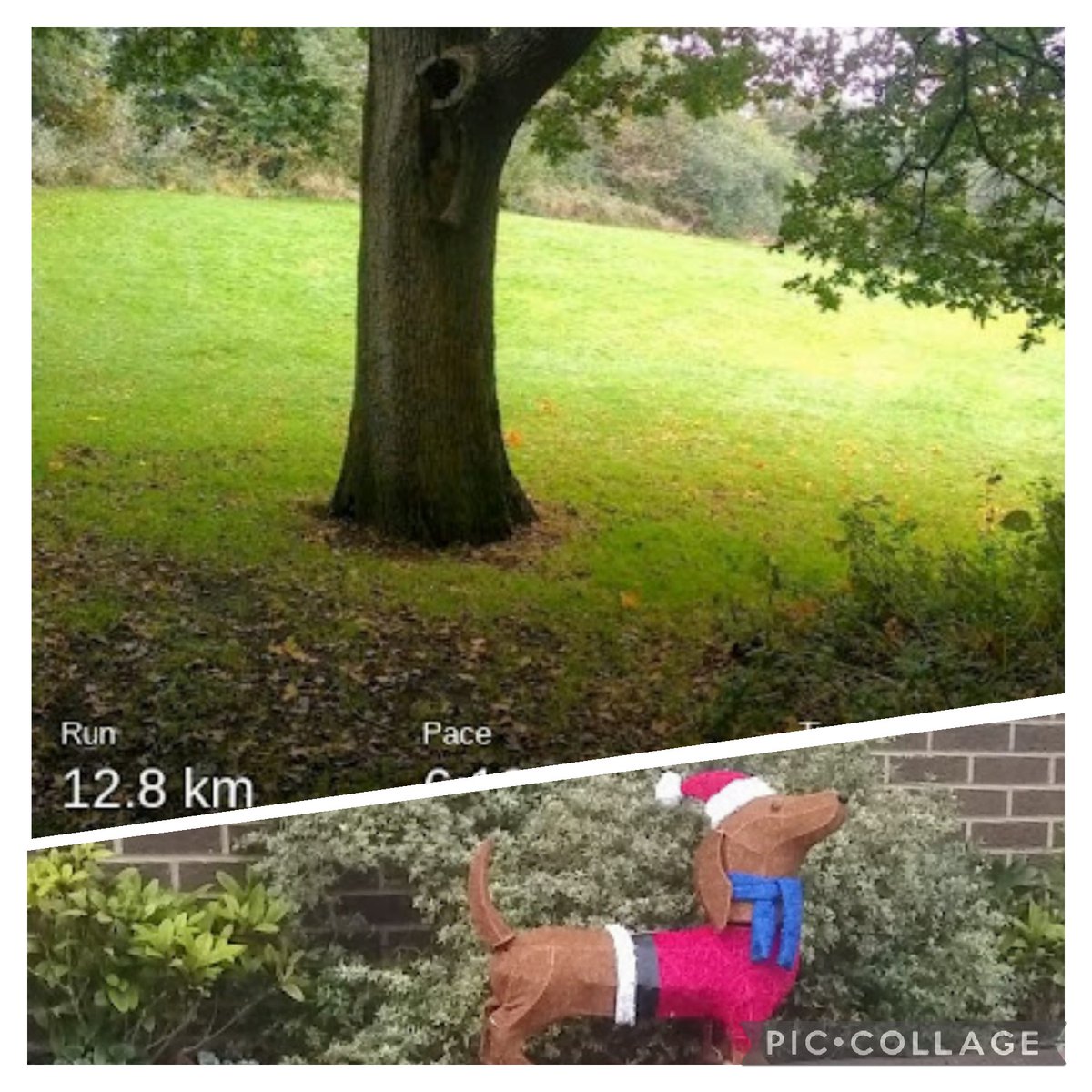 8 blustery mile run 🤪🌀🏃I was just about warm enough whilst running but ended up having to run home as it was too cold to walk but I did dodge the rain 😁 #RU2C 🎅
#absolute360 #StormArwen