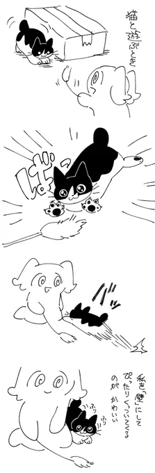 日記です 猫 