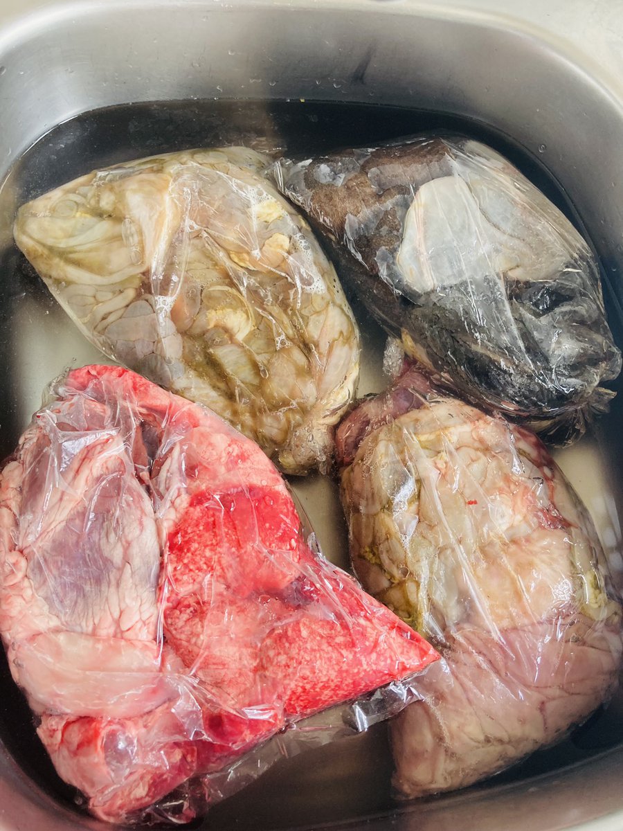 au_badela's tweet photo. Love how my mom always slaughters a sheep for me whenever she comes to Durban ❤️🥰.
She be like - don’t buy meat this month, I’ll bring chickens and mutton 🥺💕❤️
#Offals
#ItsTheLittleThings
#FamilyFirst https://t.co/R6MozI0OIA