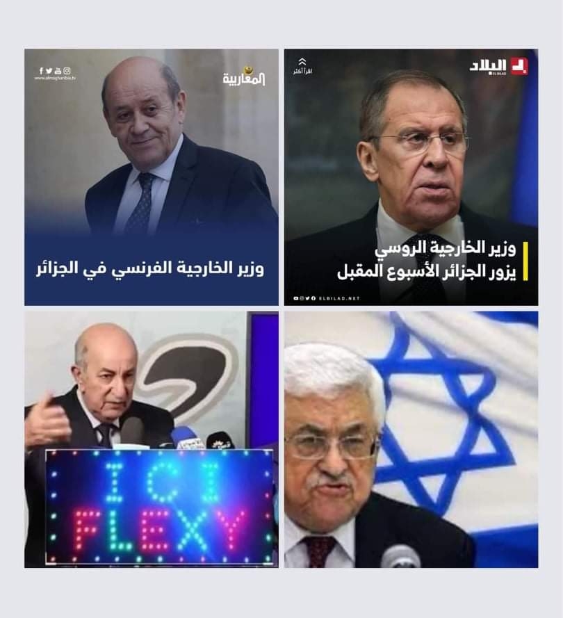 DetaineesHirak's tweet photo. اللي يحب يفليكسي يجي لدزاير.😂😂😂👇👇👇
#ici_flexy https://t.co/S69ciG3t6e
