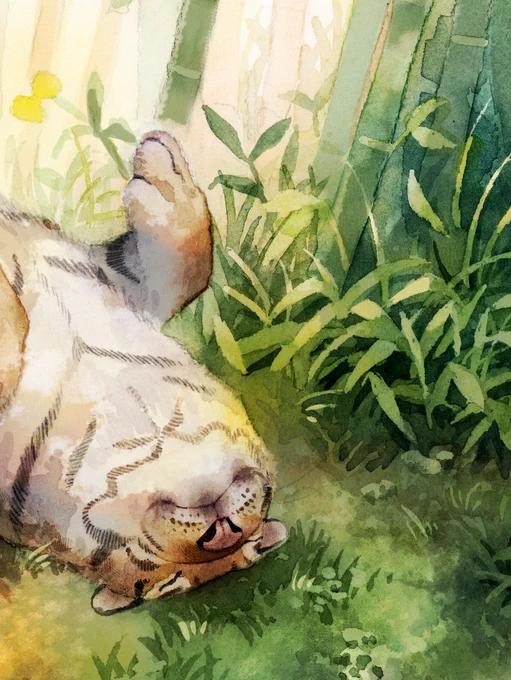 🐯ニャン 