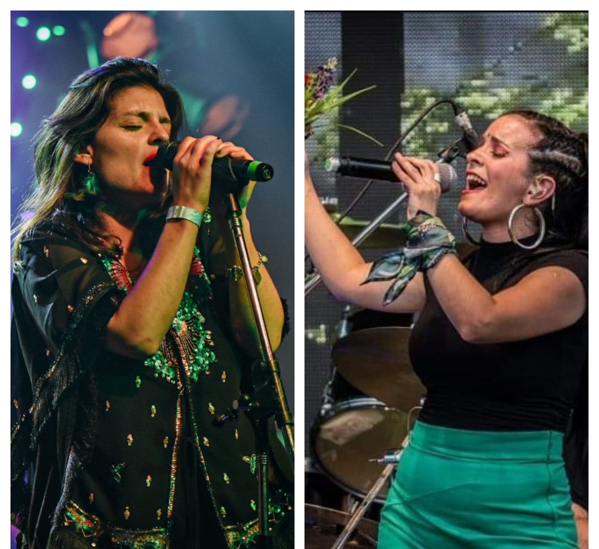 Panal Reggae tweet media