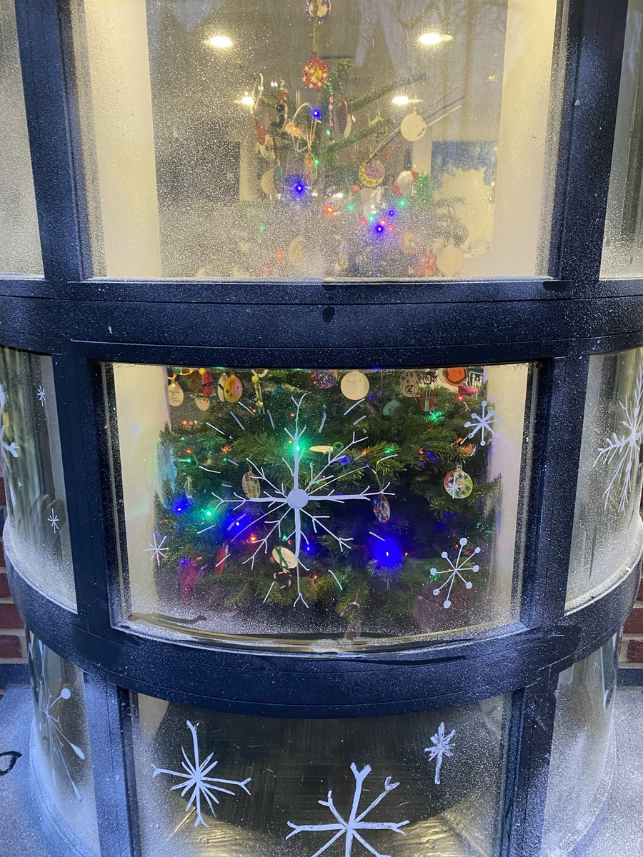 Christmas has arrived early this year - an incredible KS2 Carol Concert and Pre-Prep Nativity delivered by such talented girls and supported by a truly empathetic and kind staff body.