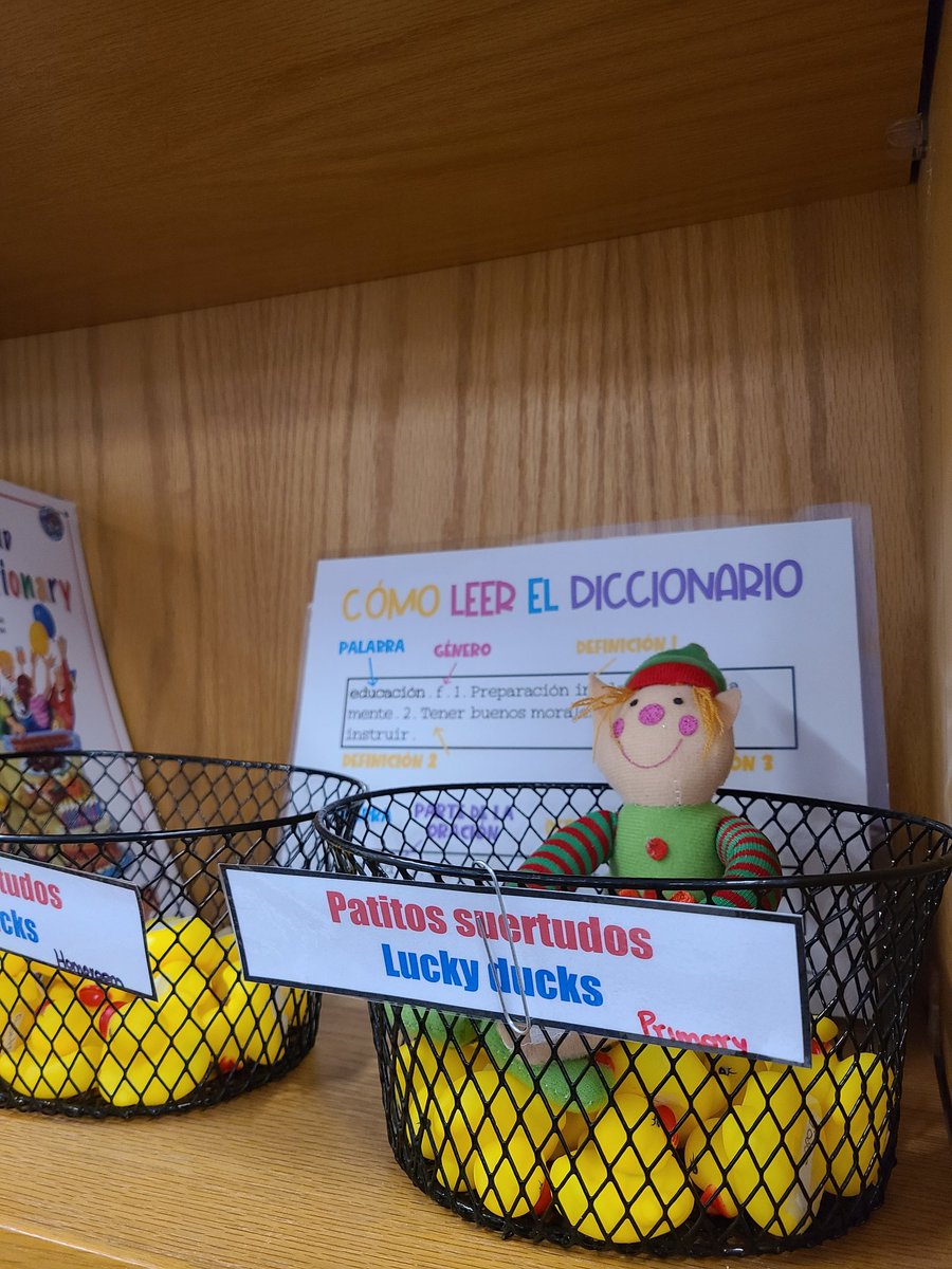 Snowy wants to pick the next lucky duck! 🐥🍀 #gibcal