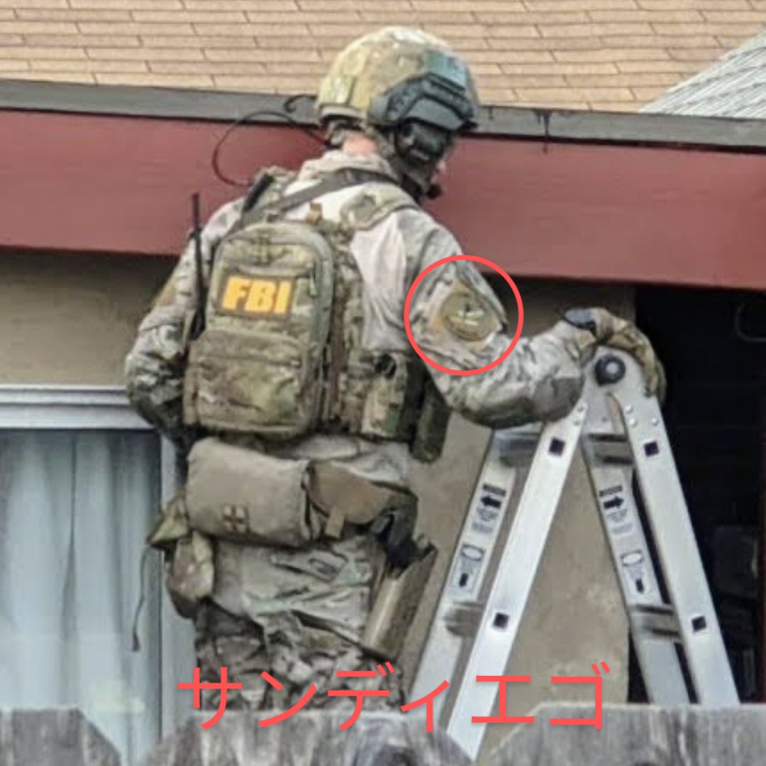 FBI　パネルパッチ　連邦捜査局　LE装備　レンジャーグリーン 警務部装備施設課特殊装備係:FBI Badge Patch RG