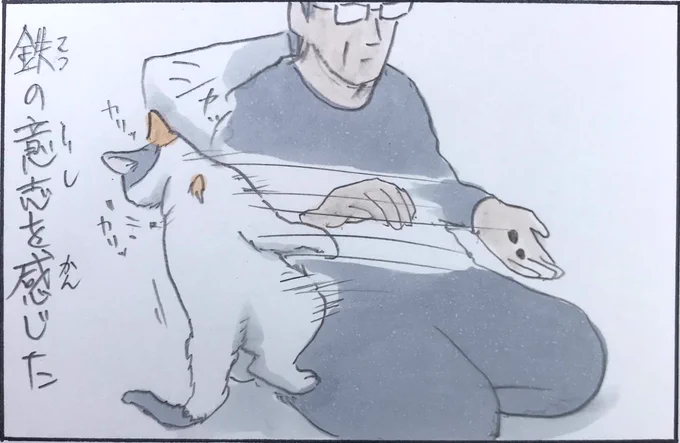 『膝乗せチャレンジ』 