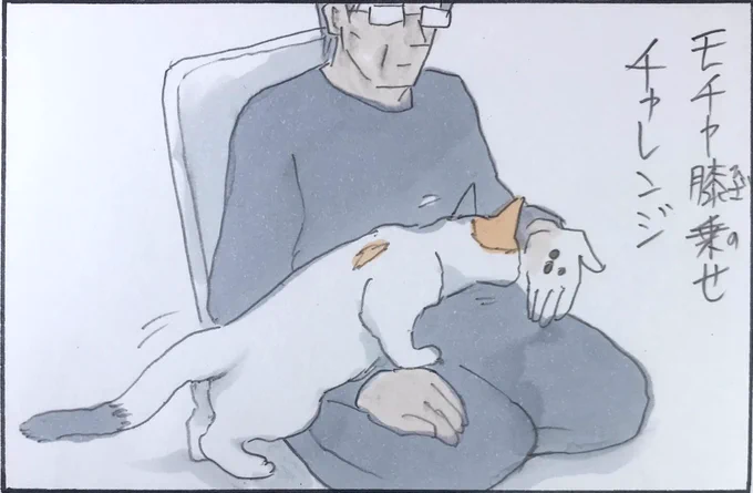 『膝乗せチャレンジ』 