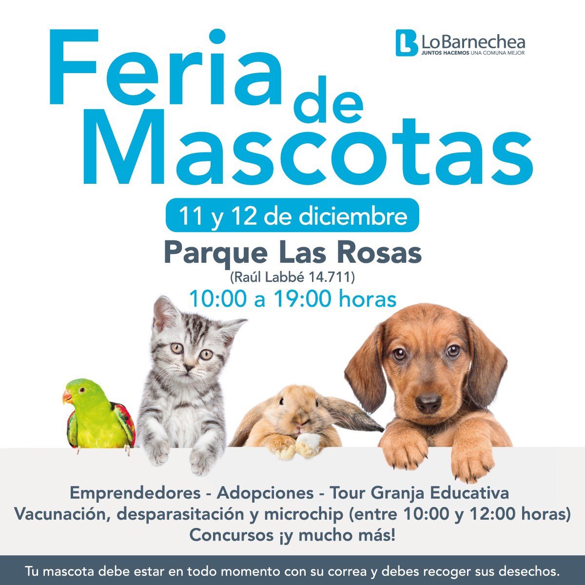 lo_barnechea's tweet photo. FERIA DE MASCOTAS 🐶🐱
🐰 ¡Ven y sorpréndete con todas las actividades que tendremos en la Feria de Mascotas Parque Las Rosas, este sábado 11 y domingo 12 de diciembre! ✨✨
🥰 ¡Regalonéalos y cuídalos! 🙏🏽🙏🏽
#Mascotas
#Ferias
#EresResponsable https://t.co/UTVnNRql7F