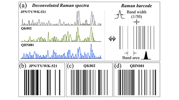 Researchers endeavor to create "Raman barcodes" for different SARS-CoV-2 variants.

Raman spectroscopy enables fast identification, while the barcode facilitates electronic record-keeping and makes information rapidly accessible to users.

Learn more: ow.ly/AL1h50H5Ycg