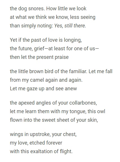 Jack Gilbert wrote, "We can break through marriage into marriage," an idea it took me years to really understand.  Thanks to <a href="/VIDA_lit/">VIDA</a> for sharing my take on marriage in their beautiful new issue.
