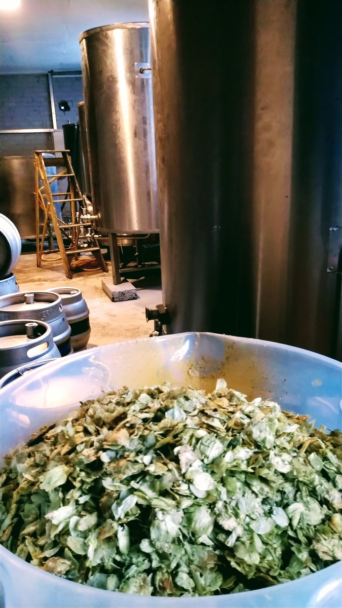 An alternative to your regular winter ale? Our new workers' cooperative pale is here! Lots of bramling cross and target giving our new TALOA Ale - a nice hoppy flavour. Who's up for it? 🍻 #realale #VeganAle #workerscooperative #Belper